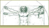 musculoskeletal specialties